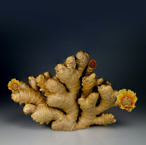 Ginger A grade