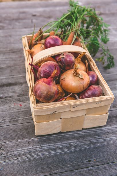 Onion A grade