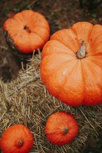 Pumpkin A grade